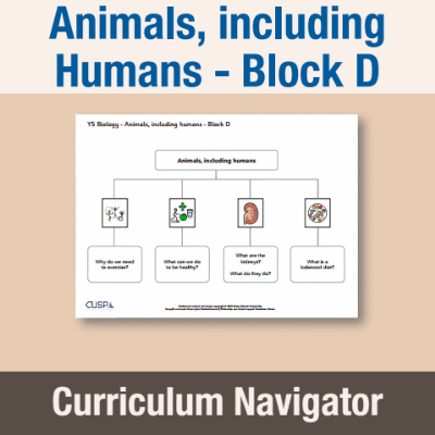 Image of Year 05 Science (Animals, including Humans - Block D) Curriculum Navigator CUSP ResourceAccess Autumn 140x195mm Printed in Black;    1 Leaf Set in pads of 16