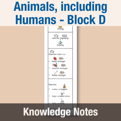 Image of Year 05 Science (Animals, including Humans - Block D) Knowledge Notes CUSP ResourceAccess Autumn 58.5x234mm Printed in Black;    4 Leaf Set in pads of 16