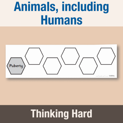 Image of Year 5 Science (Animals, including Humans) Pre-Filled Thinking Hard CUSP Resource