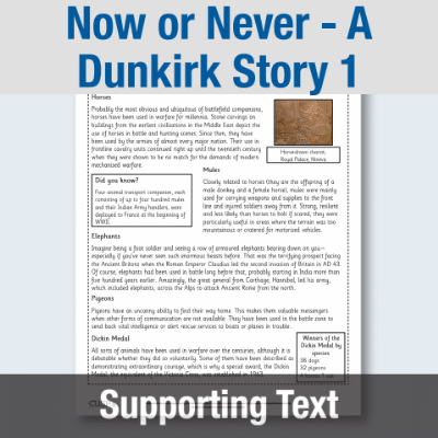 Y6 Reading (Now or Never - A Dunkirk Story 1) Supporting Text ST