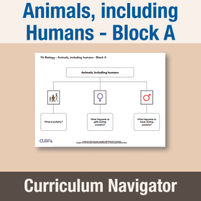 Image of Year 06 Science (Animals, including Humans - Block A) Curriculum Navigator CUSP ResourceAccess Autumn 140x195mm Printed in Black;    1 Leaf Set in pads of 16