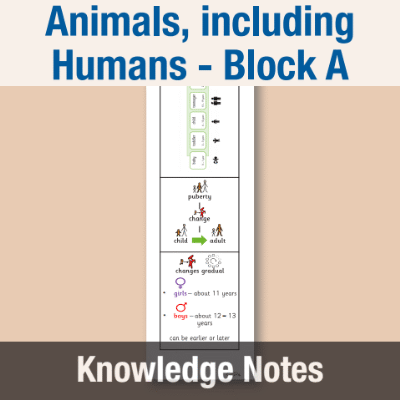 Image of Year 06 Science (Animals, including Humans - Block A) Knowledge Notes CUSP ResourceAccess Autumn 58.5x234mm Printed in Black;    3 Leaf Set in pads of 16