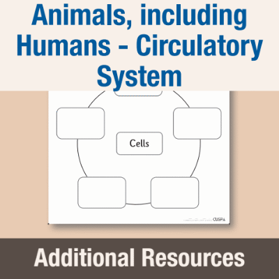 Y6 Science (Animals, including Humans - Circulatory System) AR3 Cells - Partially Completed