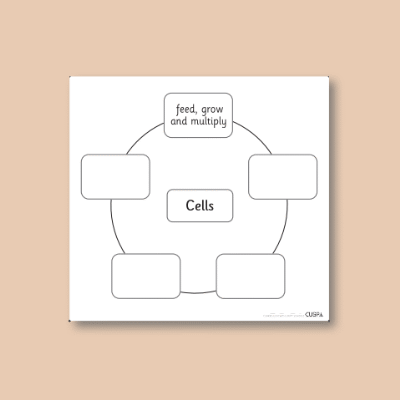 Image of Year 6 Science (Circulatory System) AR3 Cells - Partially Completed CUSP Resource