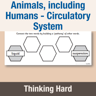 Y6 Science (Animals, including Humans - Circulatory System) Pre-Filled Thinking Hard