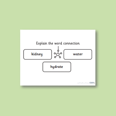 Image of Year 6 Science (Animals, including Humans - Water Transportation) Pre-Filled Thinking Hard CUSP Resource