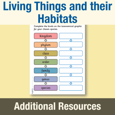 Image of Year 6 Science (Living Things and their Habitats) AR6 Blank Taxonomical Graphic CUSP Resource