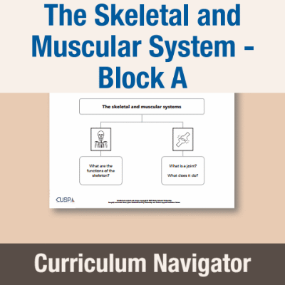Image of Year 07 Science (The Skeletal and Muscular System - Block A) Curriculum Navigator CUSP ResourceAccess Autumn 140x195mm Printed in Black;    1 Leaf Set in pads of 16