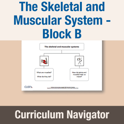 Image of Year 07 Science (The Skeletal and Muscular System - Block B) Curriculum Navigator CUSP ResourceAccess Autumn 140x195mm Printed in Black;    1 Leaf Set in pads of 16
