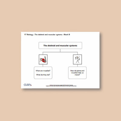 Image of Year 07 Science (The Skeletal and Muscular System - Block B) Curriculum Navigator CUSP ResourceAccess Autumn 140x195mm Printed in Black;    1 Leaf Set in pads of 16