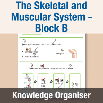 Image of Year 07 Science (The Skeletal and Muscular System - Block B) Knowledge Organiser CUSP ResourceAccess Autumn 195x277mm Printed in Black;    1 Leaf Set in pads of 16