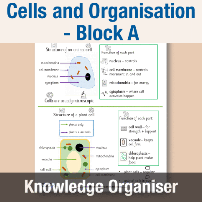 Image of Year 08 Science (Cells and Organisation - Block A) Knowledge Organiser CUSP ResourceAccess Autumn 195x277mm Printed in Black;    1 Leaf Set in pads of 16