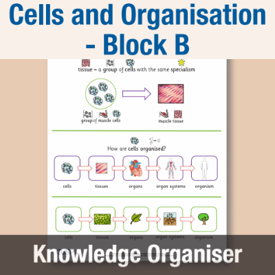 Image of Year 08 Science (Cells and Organisation - Block B) Knowledge Organiser CUSP ResourceAccess Autumn 195x277mm Printed in Black;    1 Leaf Set in pads of 16