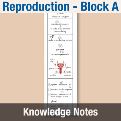 Image of Year 09 Science (Reproduction - Block A) Knowledge Notes CUSP ResourceAccess Autumn 58.5x234mm Printed in Black;    2 Leaf Set in pads of 16