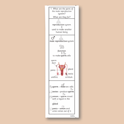 Image of Year 09 Science (Reproduction - Block A) Knowledge Notes CUSP ResourceAccess Autumn 58.5x234mm Printed in Black;    2 Leaf Set in pads of 16