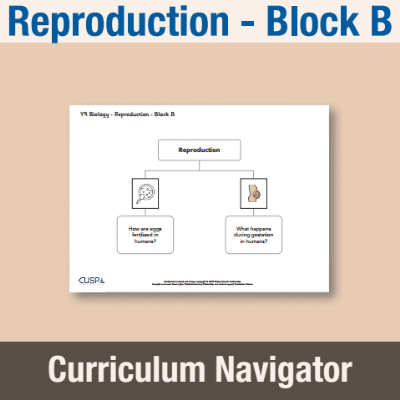 Image of Year 09 Science (Reproduction - Block B) Curriculum Navigator CUSP ResourceAccess Autumn 140x195mm Printed in Black;    1 Leaf Set in pads of 16