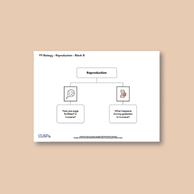 Image of Year 09 Science (Reproduction - Block B) Curriculum Navigator CUSP ResourceAccess Autumn 140x195mm Printed in Black;    1 Leaf Set in pads of 16