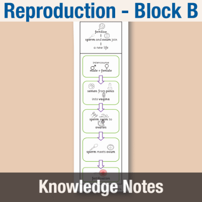 Image of Year 09 Science (Reproduction - Block B) Knowledge Notes CUSP ResourceAccess Autumn 58.5x234mm Printed in Black;    2 Leaf Set in pads of 16