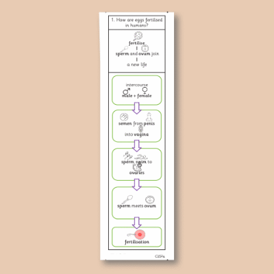 Image of Year 09 Science (Reproduction - Block B) Knowledge Notes CUSP ResourceAccess Autumn 58.5x234mm Printed in Black;    2 Leaf Set in pads of 16
