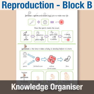 Image of Year 09 Science (Reproduction - Block B) Knowledge Organiser CUSP ResourceAccess Autumn 195x277mm Printed in Black;    1 Leaf Set in pads of 16
