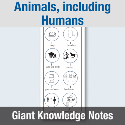 Image of EY Animals, including Humans - Giant Knowledge Notes GKN CUSP Resource