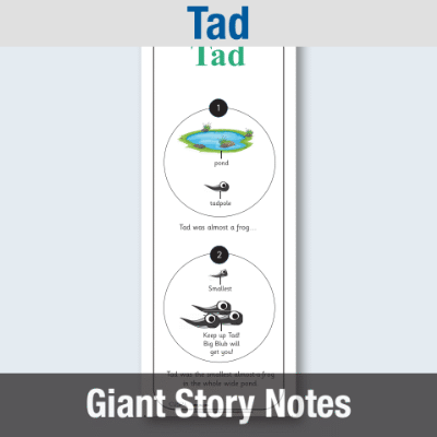 Image of EY Tad - Giant Story Notes GSN CUSP Resource