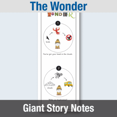 Image of EY The Wonder - Giant Story Notes GSN CUSP Resource