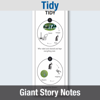Image of EY Tidy - Giant Story Notes GSN CUSP Resource