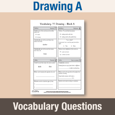Image of Year 1 Art and Design A (Drawing) Vocabulary Questions VQ CUSP Resource