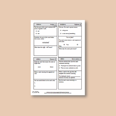 Y1 Geography (Continents, Oceans & Countries of UK) Vocabulary Questions VQ