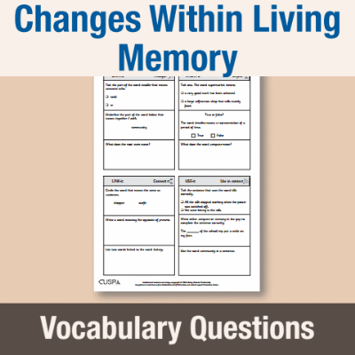Image of Year 1 History (Changes Within Living Memory) Vocabulary Questions VQ CUSP Resource