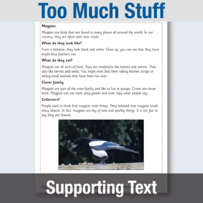 Image of Year 1 Reading (Too Much Stuff) Supporting Text ST CUSP Resource
