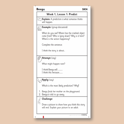 Y1 Reading (Beegu) Knowledge Notes SKN