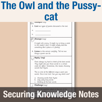 Image of Year 1 Reading (The Owl and the Pussy-cat) Knowledge Notes SKN CUSP Resource