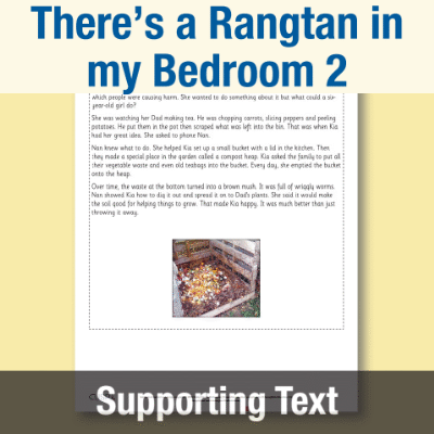Image of Year 1 Reading (There’s a Rangtan in my Bedroom 2) Supporting Text ST CUSP Resource
