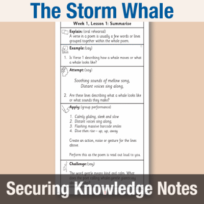 Image of Year 1 Reading (The Storm Whale) Knowledge Notes SKN CUSP Resource
