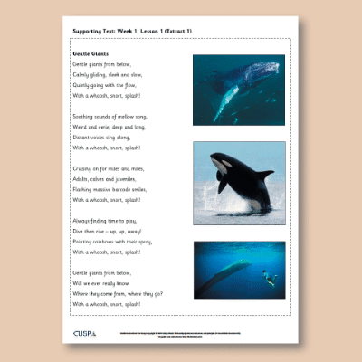 Y1 Reading (The Storm Whale) Supporting Texts ST