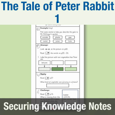 Image of Year 1 Reading (The Tale of Peter Rabbit 1) Knowledge Notes SKN CUSP Resource