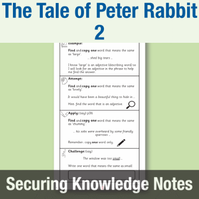 Image of Year 1 Reading (The Tale of Peter Rabbit 2) Knowledge Notes SKN CUSP Resource