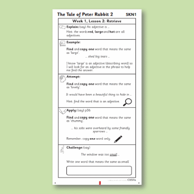 Y1 Reading (The Tale of Peter Rabbit 2) Knowledge Notes SKN