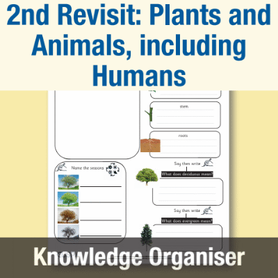 Image of Year 1 Science (2nd Revisit: Plants and Animals, including Humans) Knowledge Organiser KO CUSP Resource
