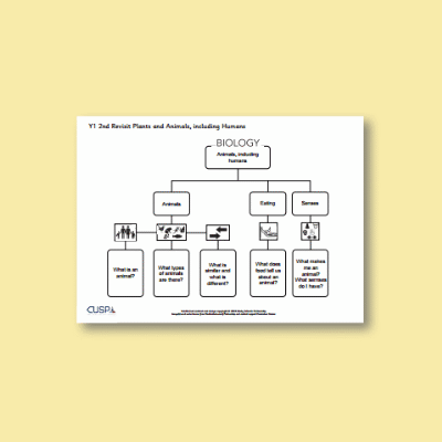 Y1 Science (2nd Revisit: Plants and Animals, including Humans) Curriculum Navigator CN