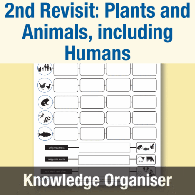 Image of Year 1 Science (2nd Revisit: Plants and Animals, including Humans) Partial Knowledge Organiser KO CUSP Resource