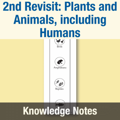 Image of Year 1 Science (2nd Revisit: Plants and Animals, including Humans) Knowledge Notes KN CUSP Resource