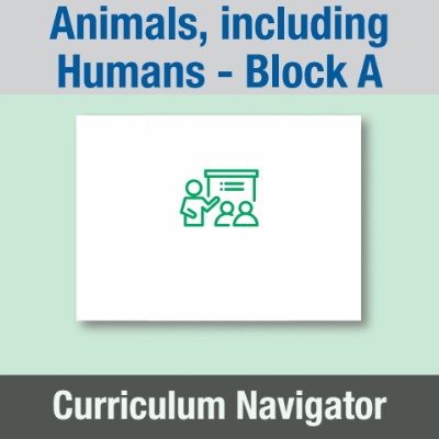 Image of Year 01 Science (Animals, including Humans - Block A) Curriculum Navigator CUSP ResourceAccess Spring 140x195mm Printed in Black;    1 Leaf Set in pads of 16