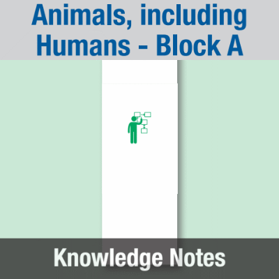 Image of Year 01 Science (Animals, including Humans - Block A) Knowledge Notes CUSP ResourceAccess Spring 58.5x234mm Printed in Black;    3 Leaf Set in pads of 16
