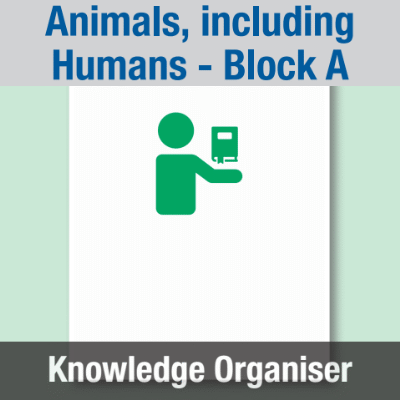 Image of Year 01 Science (Animals, including Humans - Block A) Knowledge Organiser CUSP ResourceAccess Spring 195x277mm Printed in Black;    1 Leaf Set in pads of 16