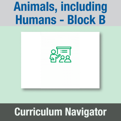Image of Year 01 Science (Animals, including Humans - Block B) Curriculum Navigator CUSP ResourceAccess Spring 140x195mm Printed in Black;    1 Leaf Set in pads of 16