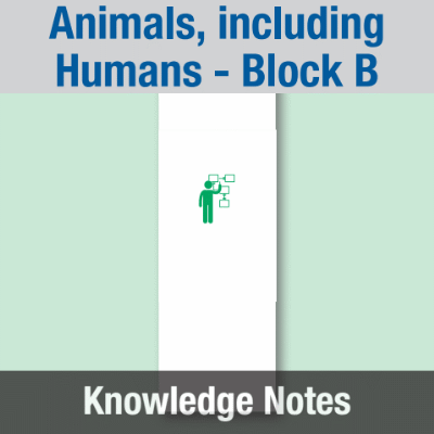 Image of Year 01 Science (Animals, including Humans - Block B) Knowledge Notes CUSP ResourceAccess Spring 58.5x234mm Printed in Black;    4 Leaf Set in pads of 16
