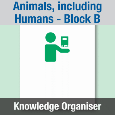 Image of Year 01 Science (Animals, including Humans - Block B) Knowledge Organiser CUSP ResourceAccess Spring 195x277mm Printed in Black;    1 Leaf Set in pads of 16